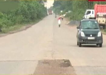 रायगढ़ में दर्दनाक हादसा, भारतमाला सड़क पर तेज रफ्तार वाहन ने 7 बैलों को कुचला; 5 की मौत
