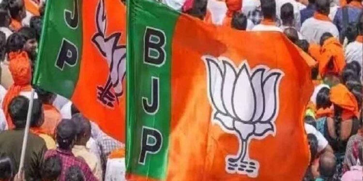 छत्तीसगढ़ BJP कार्यसमिति की बैठक 12-13 मई को, आगामी रणनीति पर होगा मंथन