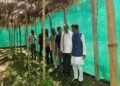 उप मुख्यमंत्री ने किया प्राकृतिक खेती का निरीक्षण