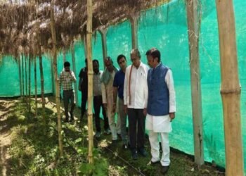 उप मुख्यमंत्री ने किया प्राकृतिक खेती का निरीक्षण