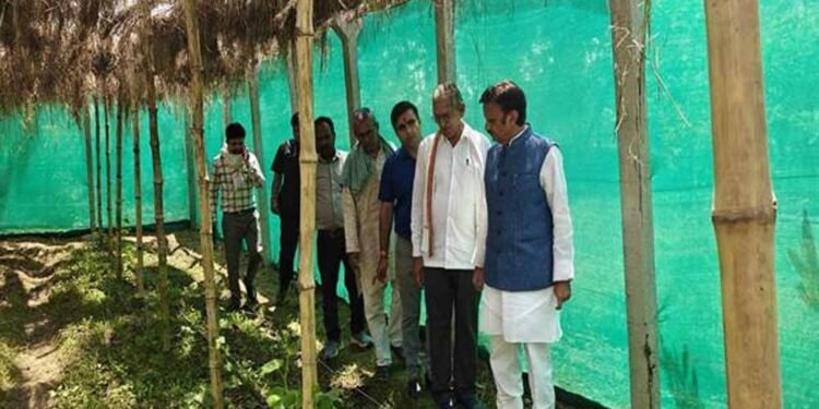 उप मुख्यमंत्री ने किया प्राकृतिक खेती का निरीक्षण