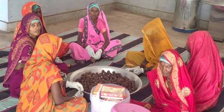 कल्दा वन-धन विकास केंद्र बना जनजातीय महिला उद्यमिता का प्रतीक
