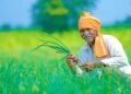 बदलती खेती में नैनो यूरिया और नैनो डीएपी बन रहे किसानों की नई पसंद