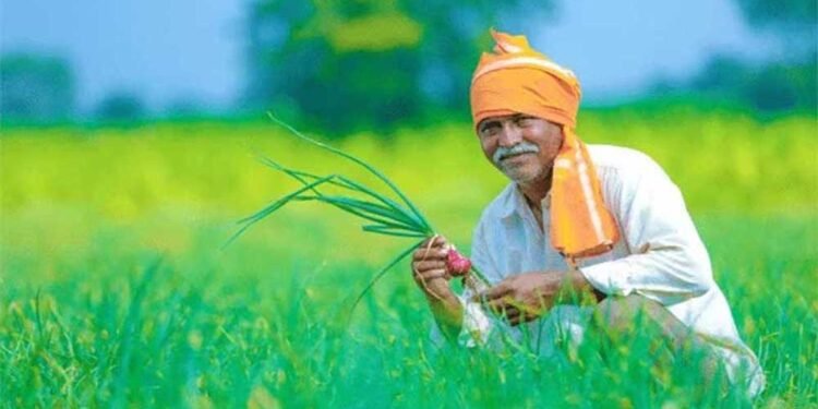 बदलती खेती में नैनो यूरिया और नैनो डीएपी बन रहे किसानों की नई पसंद