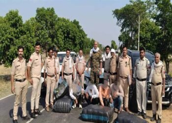 मध्यप्रदेश पुलिस की नशे के विरुद्ध प्रभावी कार्यवाही
