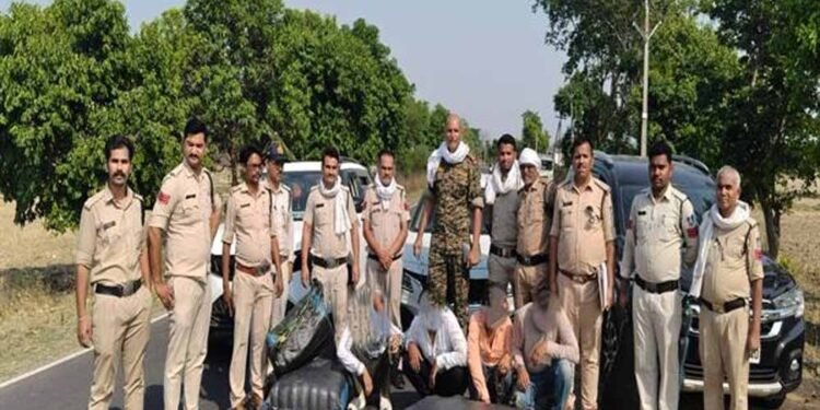 मध्यप्रदेश पुलिस की नशे के विरुद्ध प्रभावी कार्यवाही