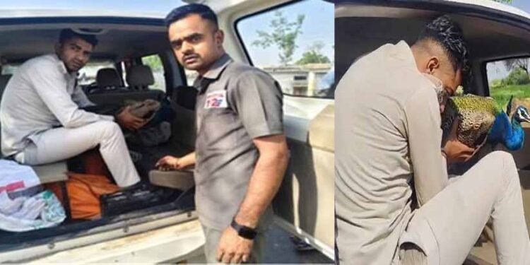 डायल-112 जवानों की संवेदनशील कार्यवाही से घायल राष्ट्रीय पक्षी को समय पर मिला उपचार