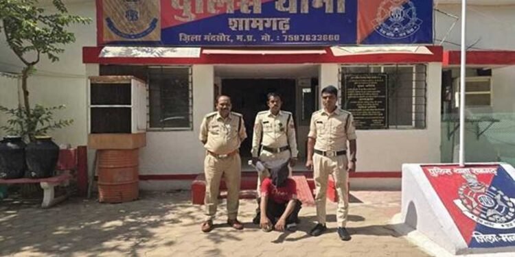 मध्यप्रदेश पुलिस की अवैध मादक पदार्थो के विरूद्ध प्रभावी कार्रवाई