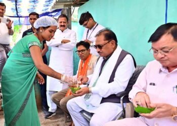 लखपति दीदी मंजू की संघर्षगाथा बनी आत्मनिर्भरता की प्रेरक मिसाल