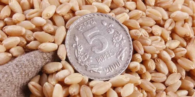 एमपी के किसानों को बड़ा झटका: FCI ने 17 हजार मीट्रिक टन गेहूं किया रिजेक्ट
