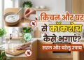 कॉकरोच भगाने के सबसे असरदार घरेलू उपाय