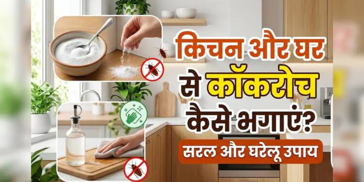 कॉकरोच भगाने के सबसे असरदार घरेलू उपाय