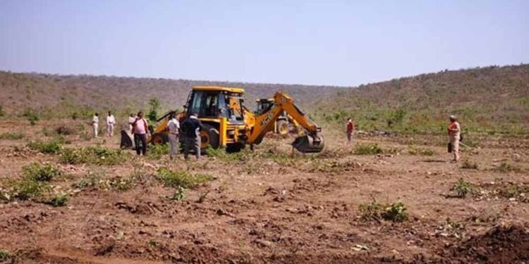 नीमच में 12 हेक्टेयर वन भूमि अतिक्रमण के प्रयास से मुक्त