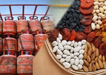 अमेरिका-ईरान युद्ध थमा तो भारत को मिल सकती है बड़ी राहत! LPG, CNG और खाद समेत 10 चीजें हो सकती हैं सस्ती