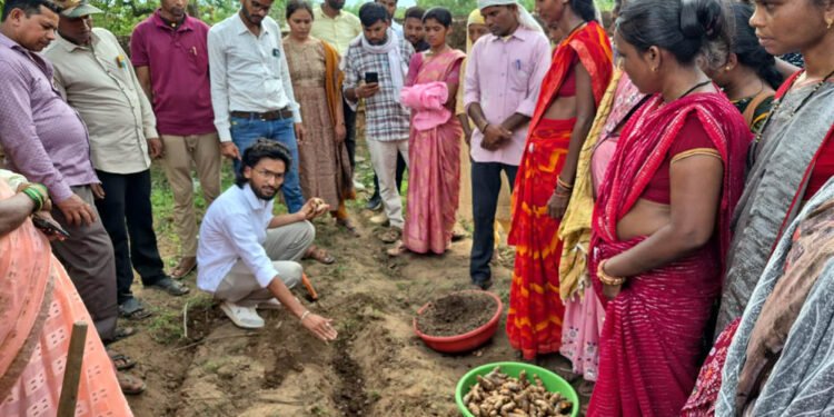 ​धमतरी का ‘नगरी’ बनेगा हल्दी उत्पादन का नया हब: 250 किसानों ने थामा वैज्ञानिक खेती का हाथ, 250 टन पैदावार का लक्ष्य