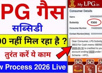 ₹300 सस्ता LPG सिलेंडर कैसे पाएं? 10 करोड़ से ज्यादा परिवार उठा रहे इस योजना का लाभ