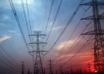 हाथी प्रभावित क्षेत्र में 33 केवी लाइन विस्तार पर हाईकोर्ट सख्त, सरकारों और बिजली कंपनी से मांगा जवाब