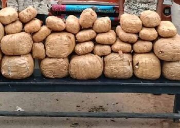 ओडिशा से राजस्थान जा रहा 1.44 करोड़ का गांजा पकड़ा, नाबालिग सहित 2 तस्कर गिरफ्तार
