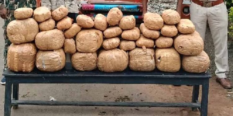 ओडिशा से राजस्थान जा रहा 1.44 करोड़ का गांजा पकड़ा, नाबालिग सहित 2 तस्कर गिरफ्तार