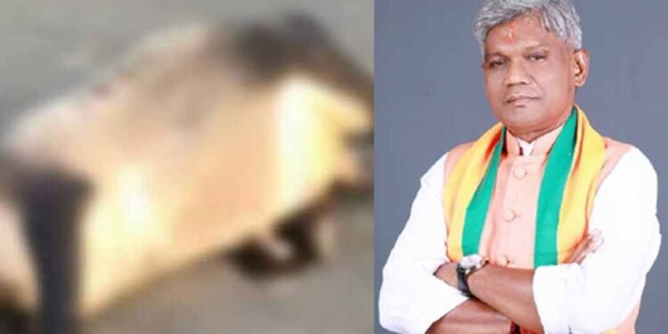 छत्तीसगढ़ गौ सेवा आयोग अध्यक्ष की कार से टकराई बाइक, पुलिस ने दो आरोपियों को दबोचा