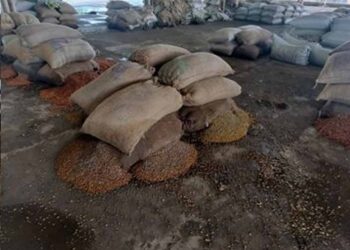 राजनांदगांव मंडी में जलभराव से हाहाकार, चबूतरों पर रखा धान भी भीगा