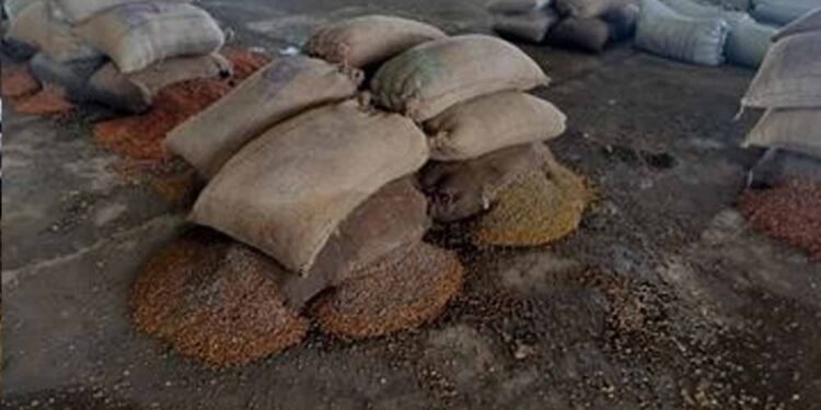 राजनांदगांव मंडी में जलभराव से हाहाकार, चबूतरों पर रखा धान भी भीगा