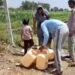 सूरजपुर के दूरदराज गांवों में पहुंचा नल का जल, मंत्री लक्ष्मी राजवाड़े के प्रयासों से मिली राहत