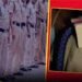 जांजगीर-चांपा पुलिस विभाग में बड़ा प्रशासनिक बदलाव, 80 पुलिसकर्मियों के तबादले