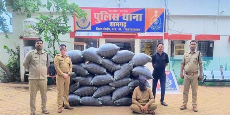 विगत 10 दिनों में 2 करोड़ 90 लाख रूपए से अधिक मूल्य के मादक पदार्थ एवं अन्य संपत्ति जब्त