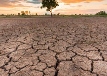 MP Weather: 33 जिलों में सामान्य से कम बारिश, किसानों की बढ़ी चिंता; फिलहाल भारी बारिश के संकेत नहीं