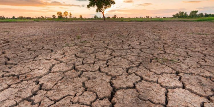 MP Weather: 33 जिलों में सामान्य से कम बारिश, किसानों की बढ़ी चिंता; फिलहाल भारी बारिश के संकेत नहीं