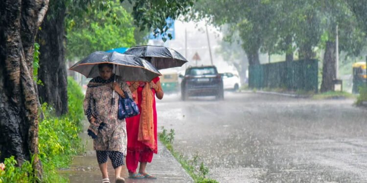 MP Weather Update: मध्य प्रदेश में फिर मेहरबान मानसून, 15 जिलों में भारी से अति भारी बारिश का अलर्ट, 4 दिन जमकर बरसेंगे बादल