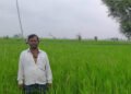 गलत धान बीज से किसानों की लाखों की फसल चौपट, फर्म संचालक पर कार्रवाई की मांग