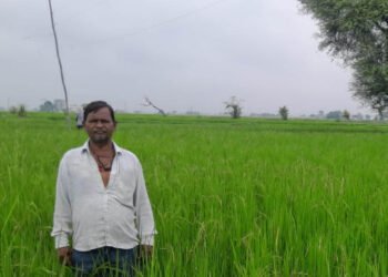 गलत धान बीज से किसानों की लाखों की फसल चौपट, फर्म संचालक पर कार्रवाई की मांग