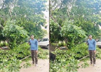 मुख्यमंत्री हेल्पलाइन से मिला त्वरित समाधान, बिजली तार से टकरा रही पेड़ की डालियां हटीं, बड़ा हादसा टला