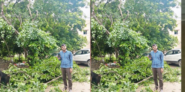मुख्यमंत्री हेल्पलाइन से मिला त्वरित समाधान, बिजली तार से टकरा रही पेड़ की डालियां हटीं, बड़ा हादसा टला