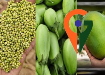देश में पहली बार एक साथ 12 उद्यानिकी फसलों को म‍िला जी आई टैग