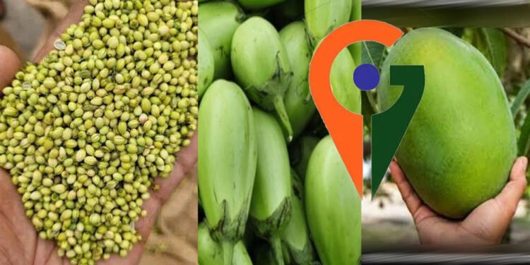 देश में पहली बार एक साथ 12 उद्यानिकी फसलों को म‍िला जी आई टैग