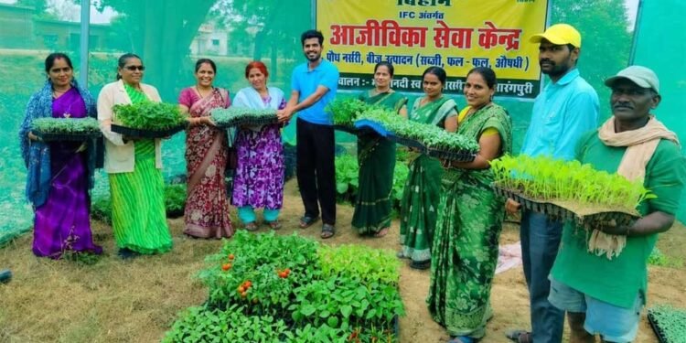 आईएफसी नर्सरी बनी किसानों की उम्मीद