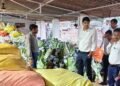 CG में कृषि विभाग की बड़ी कार्रवाई, अवैध भंडारण और पैकेजिंग यूनिट पर छापा, गोदाम सील