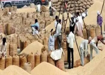 दुर्ग में धान खरीदी में गड़बड़ी, समिति प्रबंधक के खिलाफ अपराध दर्ज