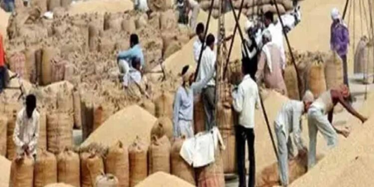 दुर्ग में धान खरीदी में गड़बड़ी, समिति प्रबंधक के खिलाफ अपराध दर्ज