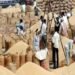 दुर्ग में धान खरीदी में गड़बड़ी, समिति प्रबंधक के खिलाफ अपराध दर्ज