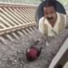 CG में चोर ट्रेन से कूदकर फरार, पीड़ित यात्री को ही पुलिस ने किया गिरफ्तार