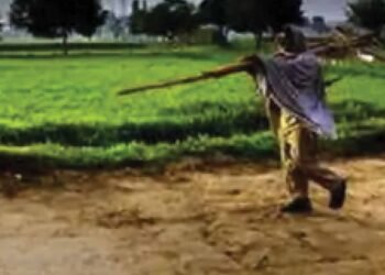 CG में बारिश थमते ही खेती पर असर, बोवनी और रोपाई का काम हुआ प्रभावित