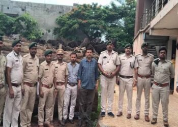 कोरबा में 206 साल के पेड़ों की लकड़ी बरामद, आरोपी गिरफ्तार, आरा मिल सील