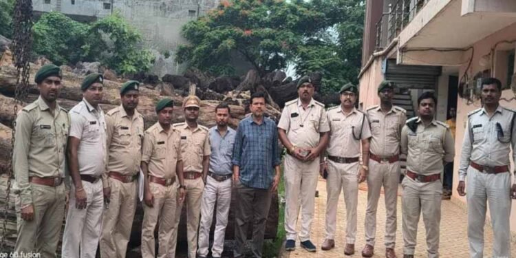 कोरबा में 206 साल के पेड़ों की लकड़ी बरामद, आरोपी गिरफ्तार, आरा मिल सील