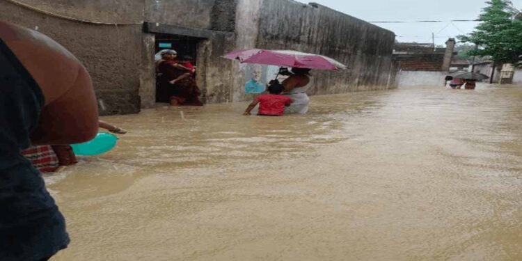 छत्तीसगढ़ में बारिश का कहर, घरों में घुसा पानी, दर्जनभर गांवों का संपर्क टूटा