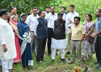 धमतरी जिले में 200 एकड़ से बढ़ाकर 600 एकड़ तक औषधीय खेती के विस्तार का लक्ष्य