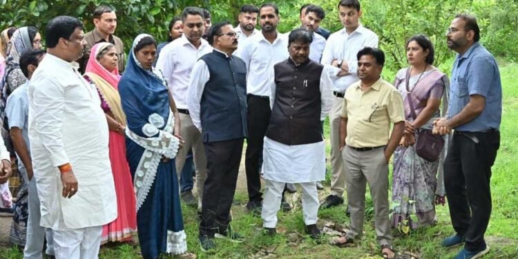धमतरी जिले में 200 एकड़ से बढ़ाकर 600 एकड़ तक औषधीय खेती के विस्तार का लक्ष्य